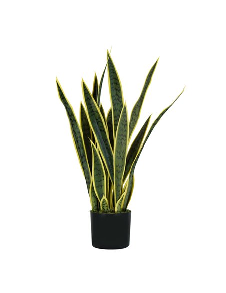 Pianta ornamentale Sansevieria 21 foglie P2150075 King Collection PIANTE SINTETICHE E VASI