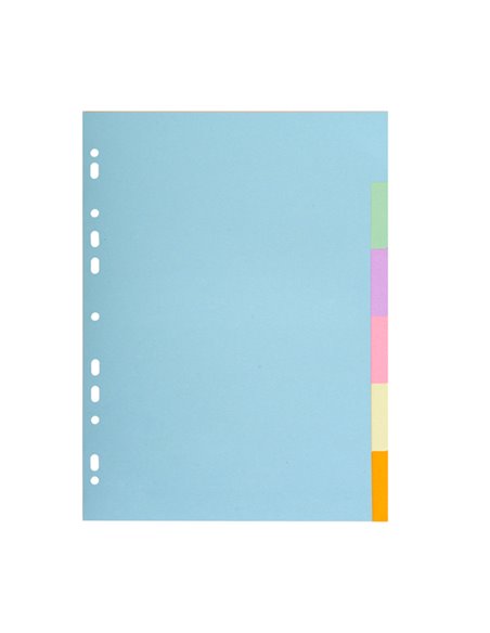 SEPARATORE Pastel A4 6 tasti in CARTONCINO 170gr 1606E Forever Exacompta 1606E EXACOMPTA DIVISORI-SEPARATORI CON TASTI NEUTRI