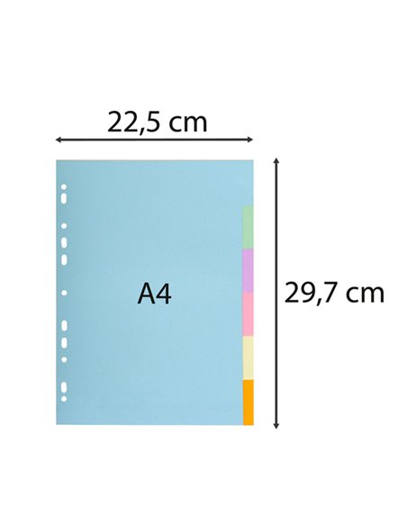 SEPARATORE Pastel A4 6 tasti in CARTONCINO 170gr 1606E Forever Exacompta 1606E EXACOMPTA DIVISORI-SEPARATORI CON TASTI NEUTRI