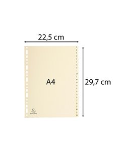 Separatori in cartoncino 24 tasti A-Z tipo pelle color avorio 155G A4 Exacompta 1124E EXACOMPTA DIVISORI-SEPARATORI CON TASTI... 2