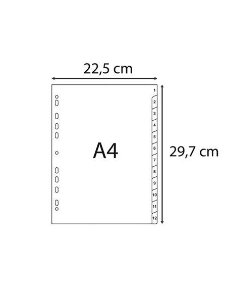 Intercalare numerico in PP riciclato 12 tasti 1-12 grigio A4 Exacompta 1912E EXACOMPTA DIVISORI-SEPARATORI CON TASTI STAMPATI