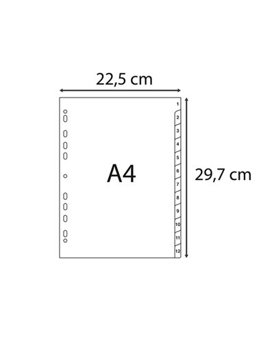 Intercalare numerico in PP riciclato 31 tasti 1-31 grigio A4 Exacompta 1931E EXACOMPTA DIVISORI-SEPARATORI CON TASTI STAMPATI