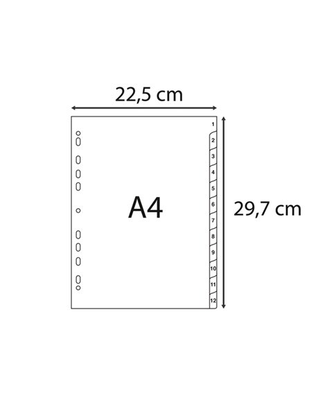 Intercalare numerico in PP riciclato 31 tasti 1-31 grigio A4 Exacompta 1931E EXACOMPTA DIVISORI-SEPARATORI CON TASTI STAMPATI