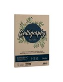 Carta Calligraphy Nature SHIRO ECO A4 50fg 120gr legno FAVINI A69N904