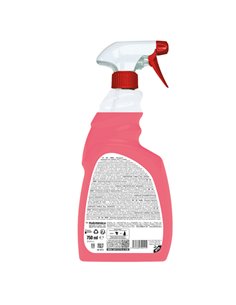 Detergente sgrassante per superfici S6 INOX 750ml Sanitec 1875-S 2