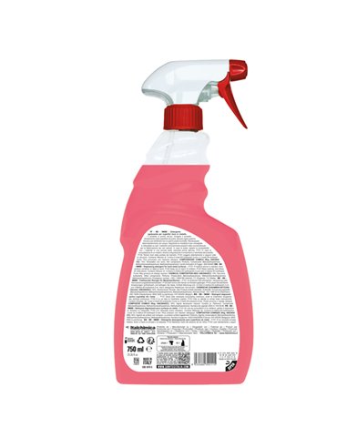 Detergente sgrassante per superfici S6 INOX 750ml Sanitec 1875-S