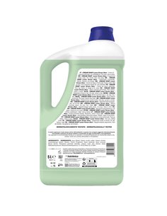 Crema di sapone Luxor Green Aloe 5Lt Sanitec 1081 2