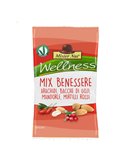 Mix benessere 25gr Mister Nut 124089006115
