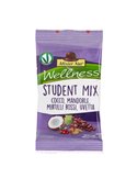 Student Mix 25gr Mister Nut 118072006115