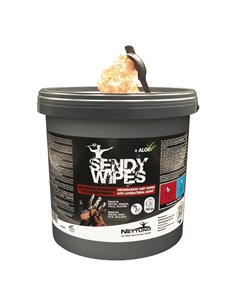Secchiello da 100 salviette umidificate 26x27cm Sandy Wipes 00813 NETTUNO SALVIETTE, FAZZOLETTI E LENZUOLINI