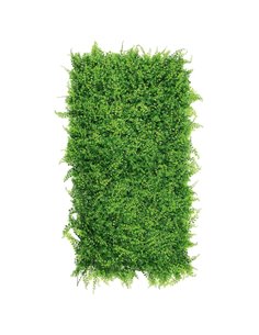 Siepe sintetica Amazzonia Verdecor 0,5x1m Verdemax 5669