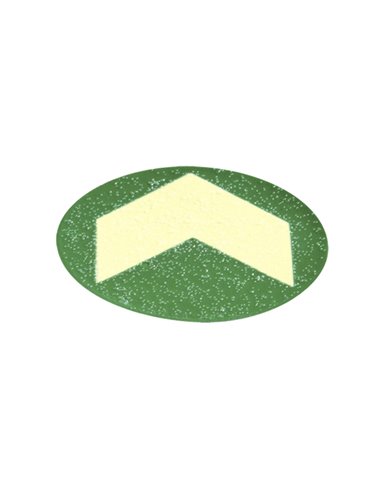 Bollo con freccia fotoluminescente adesiva Ø60mm colore giallo verde L93061 CARTELLI SEGNALATORI SEGNALETICA