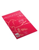 Fogli protocollo A4 Quaxima 1rigo 20fg 80gr Pigna 02322641R