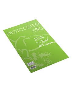 Fogli protocollo A4 4mm 20fg 80gr Pigna 02322644M
