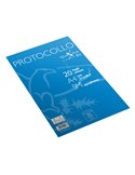 Fogli protocollo A4 5mm 20fg 80gr Pigna 02322645M