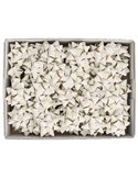 50 stelle nastro carta erba 15mmxØ6,5cm avorio Brizzolari 02739525
