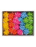36 stelle nastro carta ecocolor 20mmxØ9cm colori ass. primavera Brizzolari 02466899