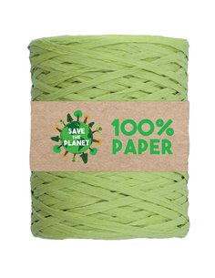 Rafia in carta 100mt colore verde 10Brizzolari 02595810 BRIZZOLARI NASTRI-FIOCCHI-STELLE