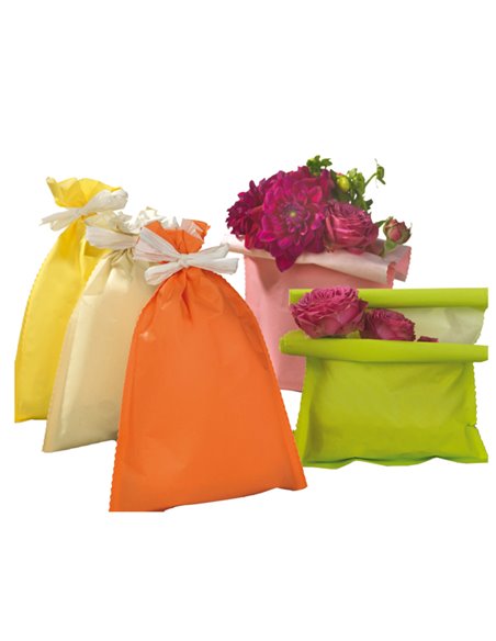 50 buste regalo in carta 45gr. 16x25cm 5 colori assortiti UDI26GRR12N00 PNP SHOPPERS E SACCHETTI REGALO