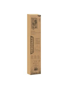 Serra Buganvillea senza ripiani 100x170/190cm verde/trasparente Verdemax 2626 2