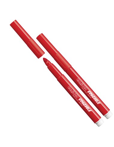 Astuccio 30 pennarelli Magic Markers colori assortiti CARIOCA 43183 CARIOCA PENNARELLI