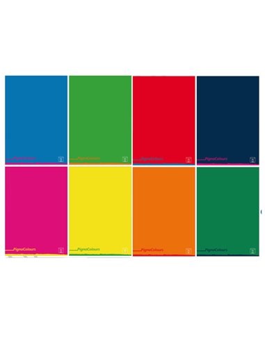 Maxiquaderno A4 80gr 40+2fg 5mm Pigna Colours 02308755M PIGNA QUADERNI PM
