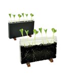 Contenitore Esplora il sottosuolo dim. 30x19x4cm Cwr 12892