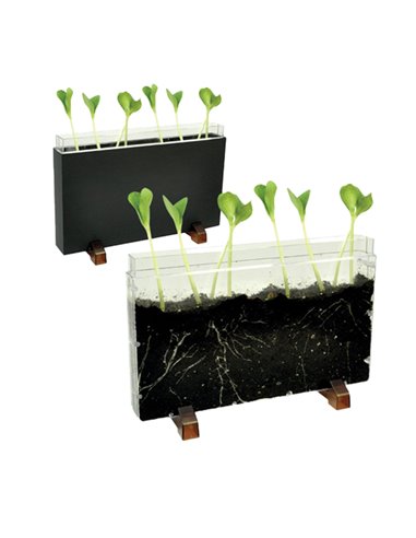 Contenitore Esplora il sottosuolo dim. 30x19x4cm Cwr 12892