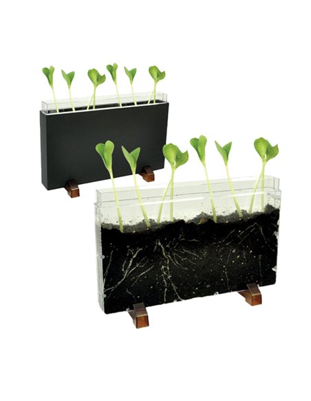 Contenitore Esplora il sottosuolo dim. 30x19x4cm Cwr 12892