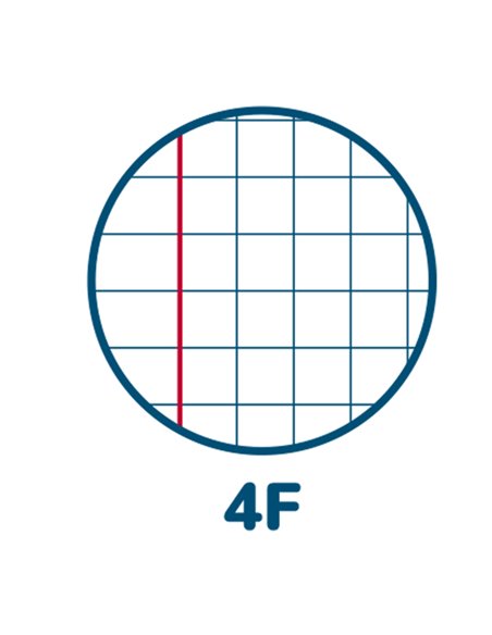 Maxiquaderno A4 80gr 40+2fg 4mm c/margine Cuccioli Pigna 02333754F