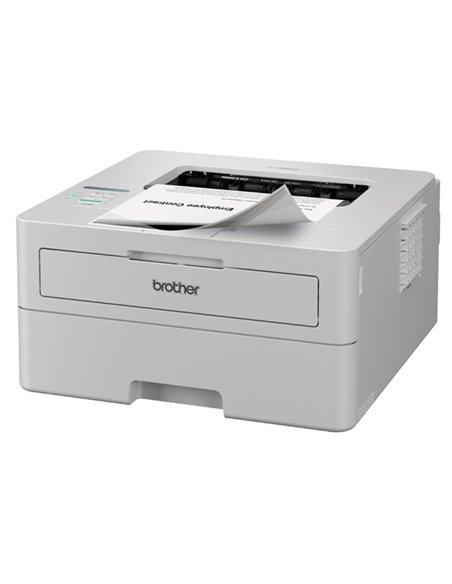 Stampante laser monocromatica a 34 ppm con duplex in stampa. rete cablata. Wi-Fi HLL2865DWRE1 BROTHER MULTIFUNZIONE INK