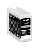 Epson Cartuccia Grigio scuro UltraChrome Pro 10 ink 25ml C13T46S700