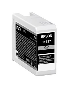 Epson Cartuccia Grigio scuro UltraChrome Pro 10 ink 25ml C13T46S700 EPSON INKJET