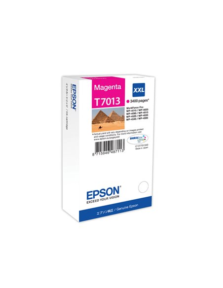 TANICA INCHIOSTRO A PIGMENTI MAGENTA EPSON DURABRITE ULTRA, XXL C13T70134010 EPSON INKJET