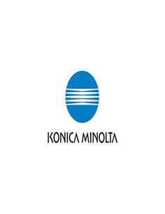 Toner Giallo Konica Minolta TN-49Y A95W250 KONICA-MINOLTA TONER PER LASER