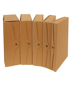 SCATOLA PROGETTO DORSO 6 EXXE FSC STARLINE FMCXCPECO06AV 2