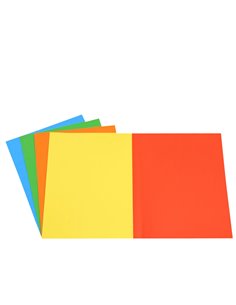 50 Cartelline semplici mix 5 colori Bristol 200gr Starline OD0113BLXXXAJ15
