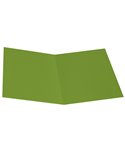 Pack 50 Cartelline Semplici VERDE NILO in bristol 200g Starline OD0113BLXXXAJ18