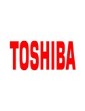 Toshiba Toner Ciano per E-Studio338CS_6.000 pag 6B000000920