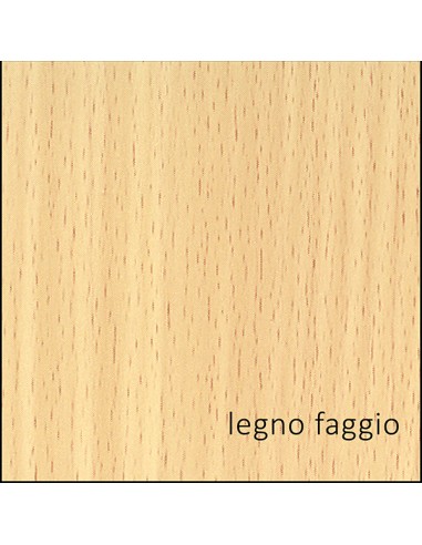 Plastica adesiva Patifix H 45 cm x 15mt colore legno faggio 12-3810 Patifix ROTOLI PELLICOLE ADESIVE