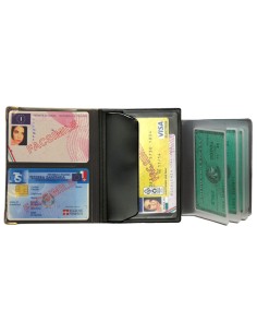 Porta documenti FLY patente/tessera sanitaria e card colori assortiti Alplast 1060S-FLY ALPLAST PORTABIGLIETTI DA VISITA