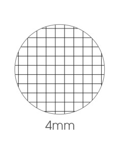 Maxiquaderno alta fogliazione A4 48fg+2 100gr 4mm Be More Crazy BM 0123989 BM QUADERNI PUNTO METALLICO 2