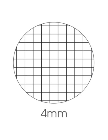 Maxiquaderno alta fogliazione A4 48fg+2 100gr 4mm Be More Crazy BM 0123989 BM QUADERNI PUNTO METALLICO