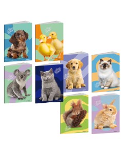 Maxiquaderno A4 20fg+1 80gr 1 rigo Best Friends Blasetti 9221 BLASETTI QUADERNI PUNTO METALLICO