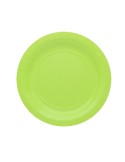 25 piatti piani Ø18cm Ecocolor biodegradabile verde mela Big Party 74082