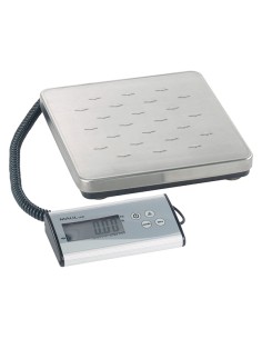 Bilancia Maulcargo fino a 120kg Maul Z770065 Maul BILANCE E PESALETTERE