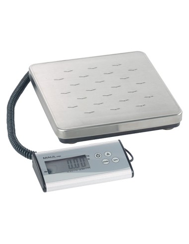 Bilancia Maulcargo fino a 120kg Maul Z770065 Maul BILANCE E PESALETTERE