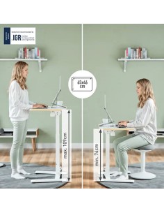 Scrivania Compatta pneumatica mobile pieghevole 65x46x74-109cm Leitz 65880001 2