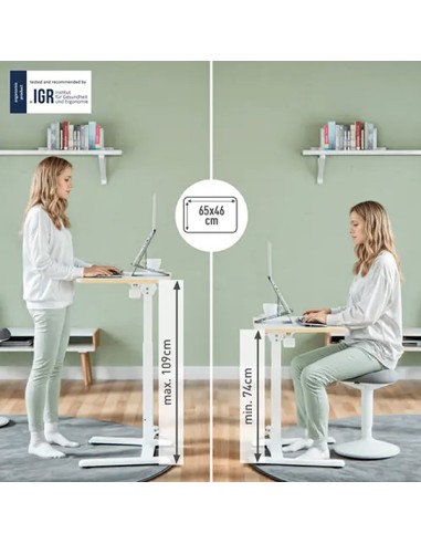 Scrivania Compatta pneumatica mobile pieghevole 65x46x74-109cm Leitz 65880001