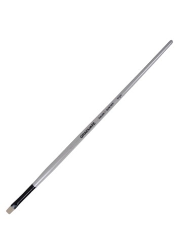 Pennello setola naturale Graduate piatto corto n.10 manico lungo Daler Rowney D212141010
